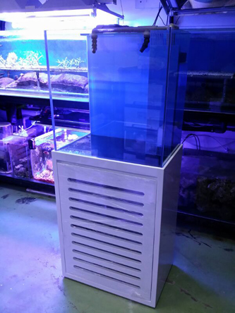 �ڨ�Y���Y12������